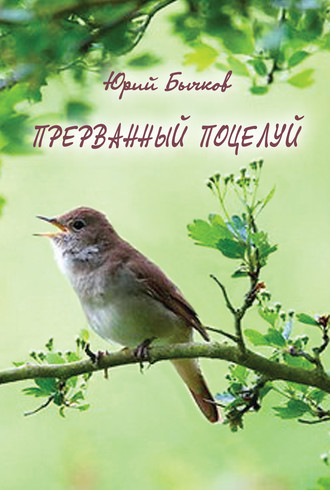 Обложка книги «Прерванный поцелуй»