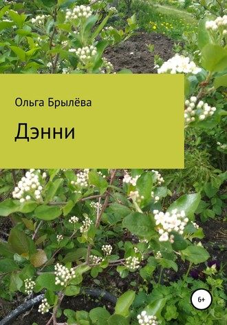 Обложка книги «Дэнни»