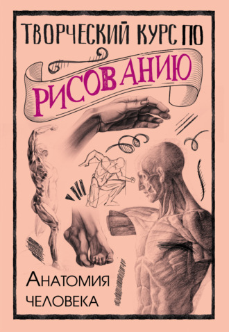 Обложка книги «Творческий курс по рисованию. Анатомия человека»
