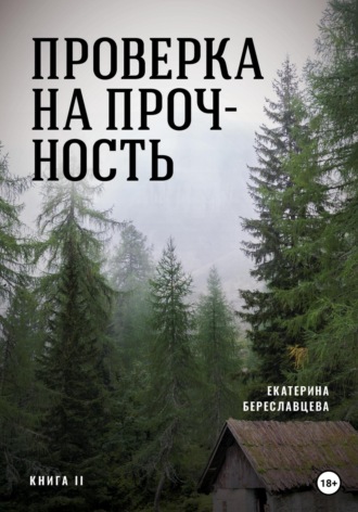 Обложка книги «Проверка на прочность»