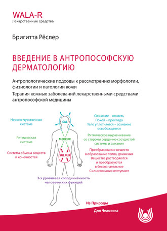 Обложка книги «Введение в антропософскую дерматологию. Антропологические подходы к рассмотрению морфологии, физиологии и патологии кожи. Терапия кожных заболеваний средствами антропософской медицины»