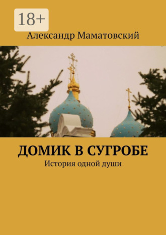Обложка книги «Домик в сугробе. История одной души»
