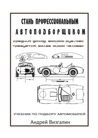 Обложка книги «Стань профессиональным автоподборщиком»