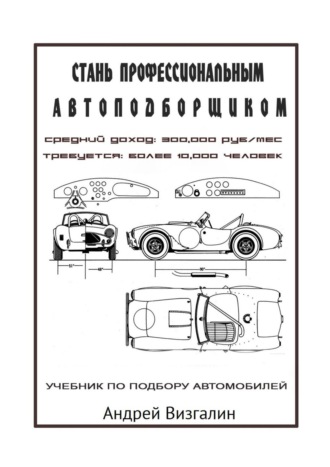 Андрей Сергеевич Визгалин. Стань профессиональным автоподборщиком