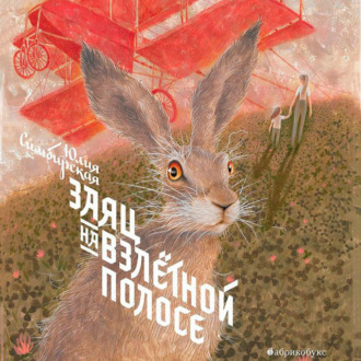 Обложка книги «Заяц на взлётной полосе»