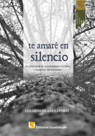 Eduardo Meana Laporte. Te amar? en silencio