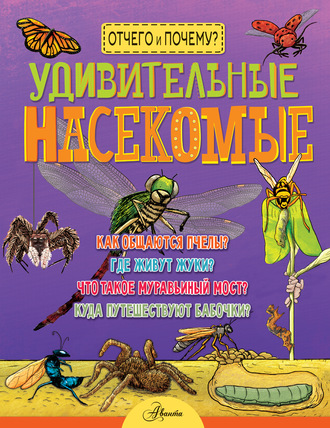 Обложка книги «Удивительные насекомые»