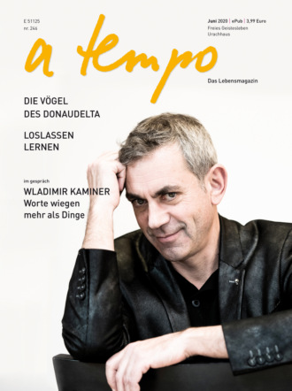 Группа авторов. a tempo - Das Lebensmagazin