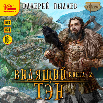 Обложка книги «Видящий. Тэн»
