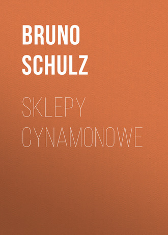 Bruno  Schulz. Sklepy cynamonowe