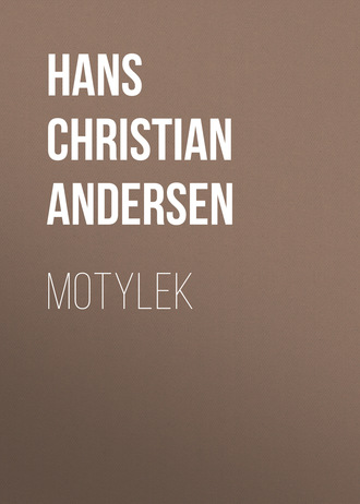 Обложка книги «Motylek»