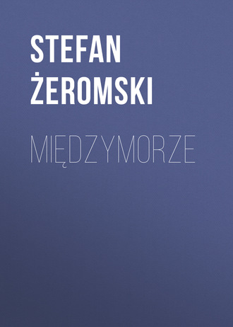 Обложка книги «Międzymorze»