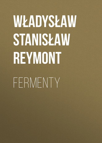 Обложка книги «Fermenty»