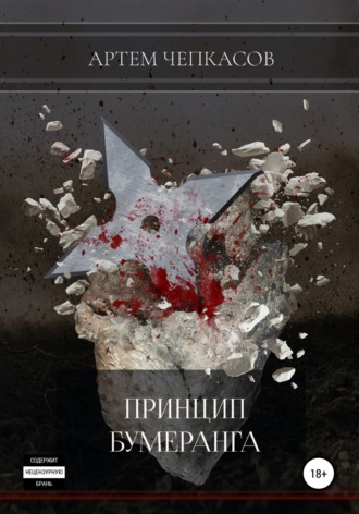 Обложка книги «Принцип бумеранга»