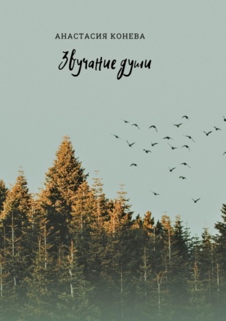Обложка книги «Звучание души»