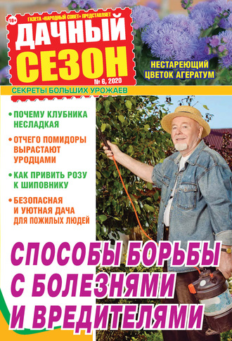 Обложка книги «Дачный сезон №06/2020»