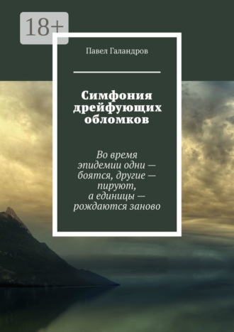 Обложка книги «Симфония дрейфующих обломков»