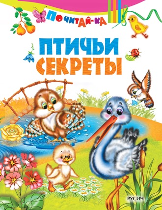 Обложка книги «Птичьи секреты»