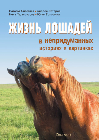 Обложка книги «Жизнь лошадей в непридуманных историях и картинках»