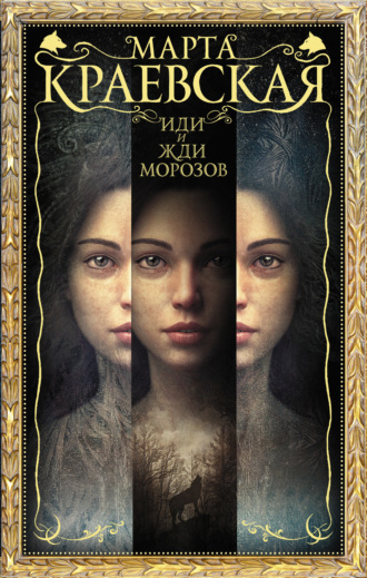 Обложка книги «Иди и жди морозов»