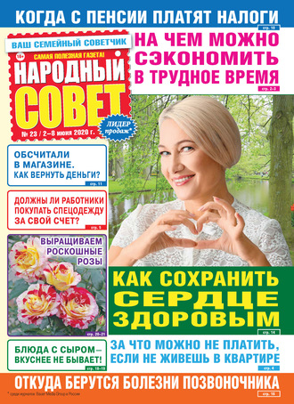 Обложка книги «Народный совет №23/2020»