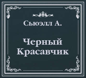 Обложка книги «Черный Красавчик (сокращенный пересказ)»