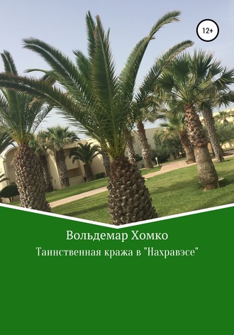 Обложка книги «Таинственная кража в Нахравэсе»