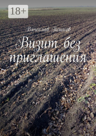 Обложка книги «Визит без приглашения»