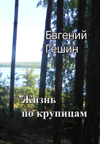 Обложка книги «Жизнь по крупицам»