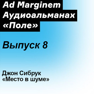 Обложка книги «Место в шуме»