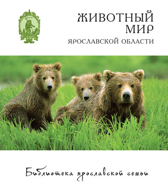 Обложка книги «Животный мир Ярославской области»