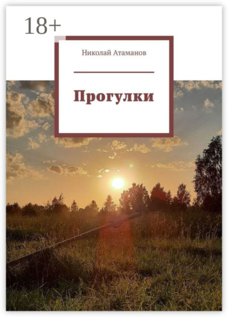 Обложка книги «Прогулки. Главное в деталях»