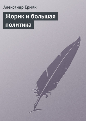 Обложка книги «Жорик и большая политика»