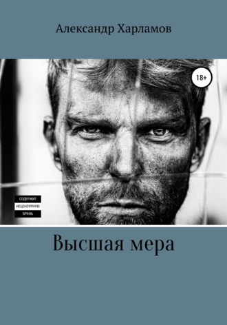 Обложка книги «Высшая мера»