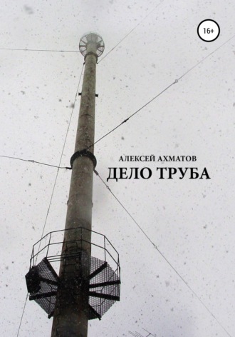 Обложка книги «Дело труба»