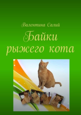 Обложка книги «Байки рыжего кота. Стихи»