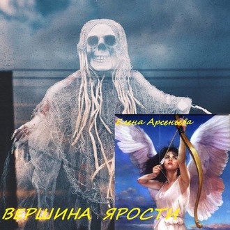 Обложка книги «Вершина ярости»