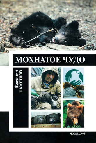 Обложка книги «Мохнатое чудо»