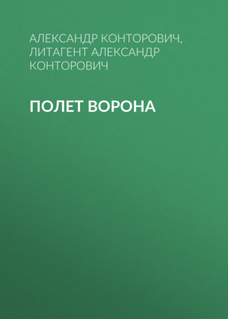 Обложка книги «Полет ворона»