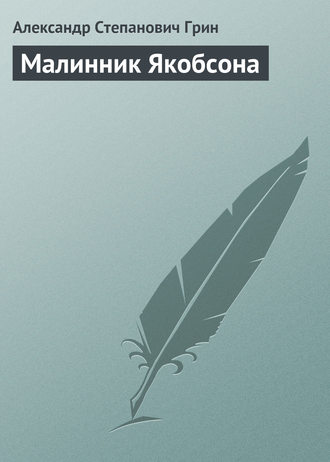 Обложка книги «Малинник Якобсона»