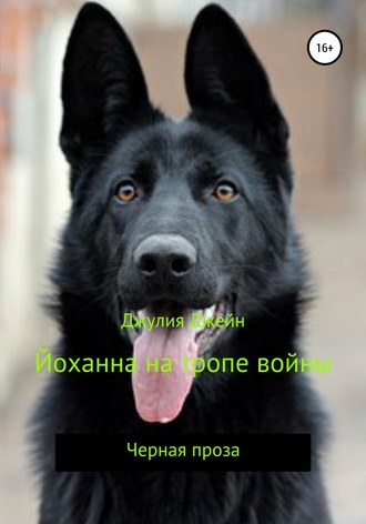 Обложка книги «Йоханна на тропе войны»