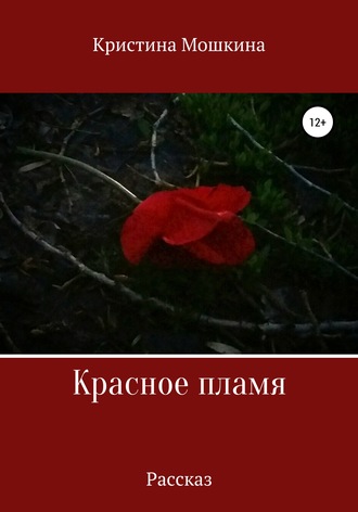 Обложка книги «Красное пламя»