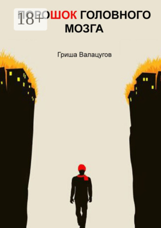 Обложка книги «ПороШОК головного мозга»