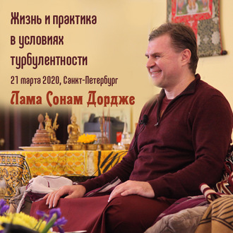 Обложка книги «Жизнь и практика в условиях турбулентности»