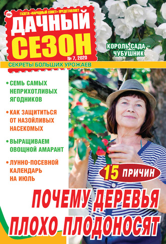 Обложка книги «Дачный сезон №07/2020»