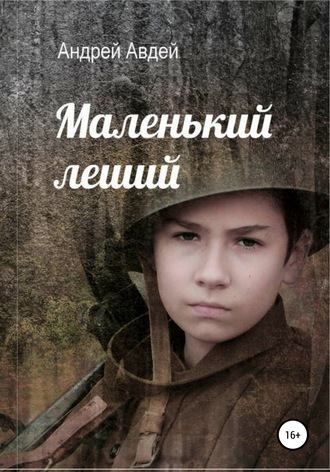 Обложка книги «Маленький Леший»