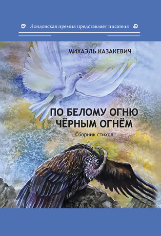 Обложка книги «По белому огню чёрным огнём»