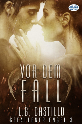 Обложка книги «Vor Dem Fall»