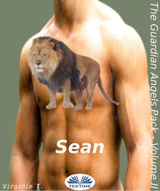 Обложка книги «Sean»