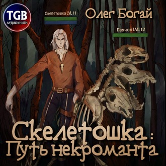 Обложка книги «Скелетошка: Путь некроманта»